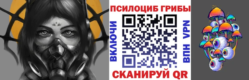 где продают   Моздок  Псилоцибиновые грибы GOLDEN TEACHER 